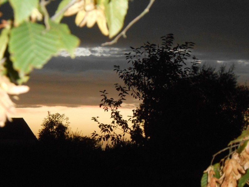 Irréel et pourtant...