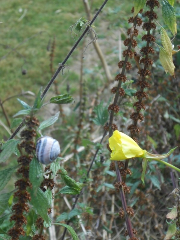 Un conte à trouver...