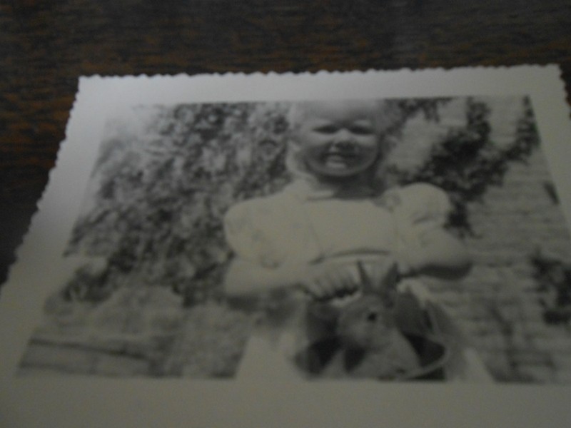 Petite fille et son lapin sauvage