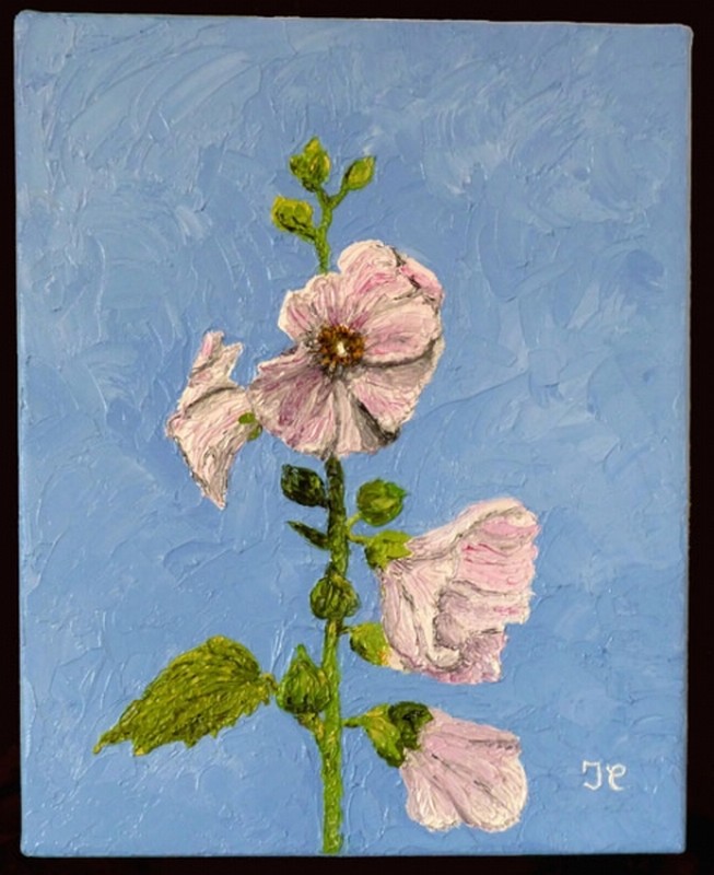 Rose trémière.