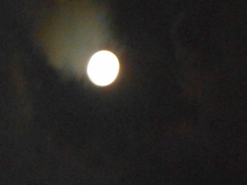 Elle nous fait rêver...