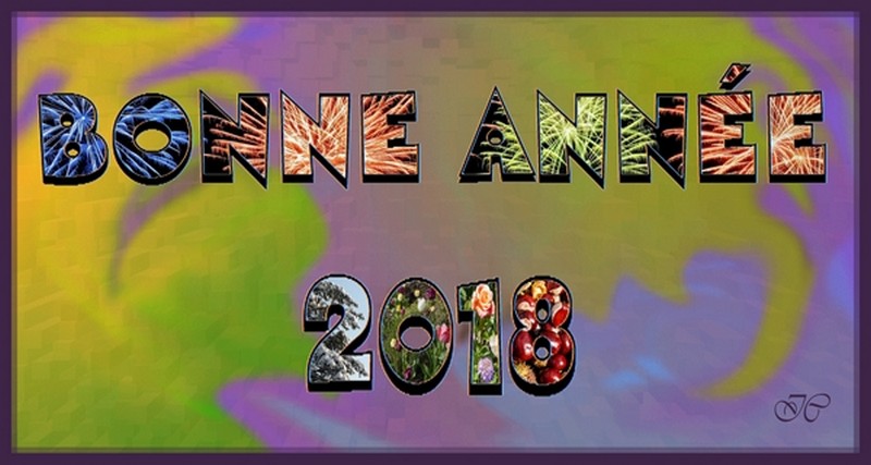 Bonne année 2018 !