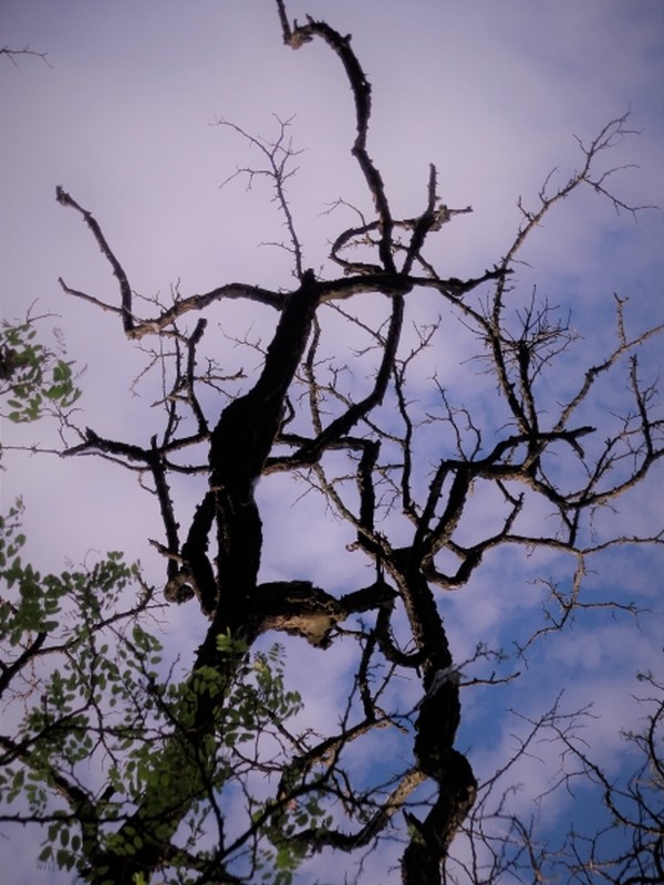 Espérance et ... désolation