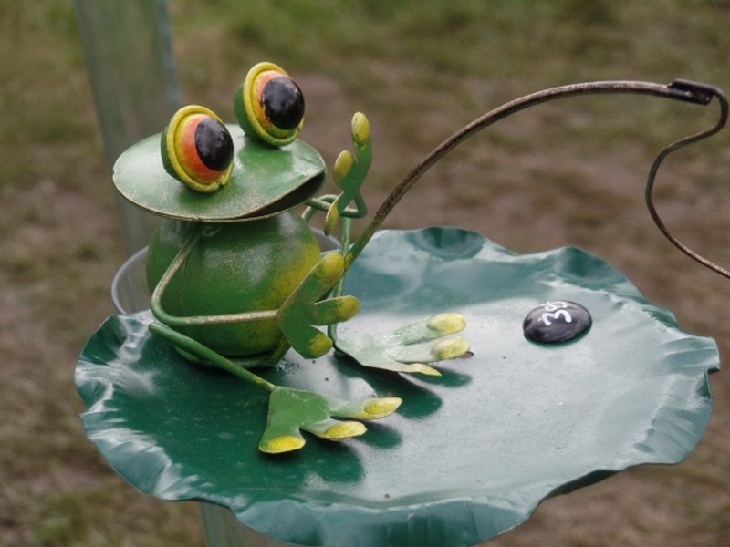 Grenouille affranchie