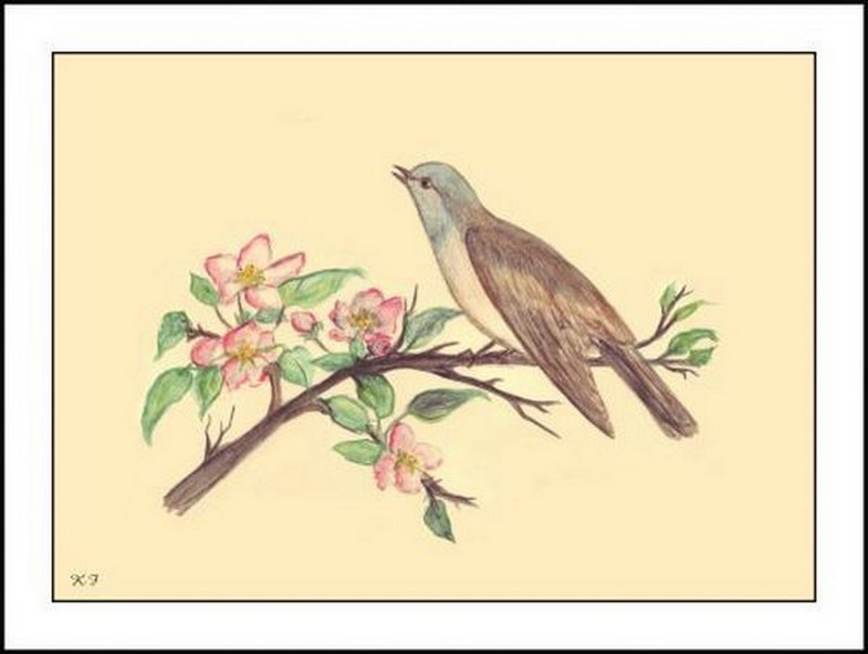 Hymne au Printemps