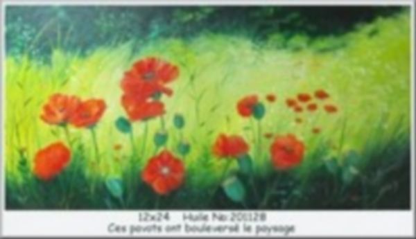 Ces pavots ont bouleversé le paysage