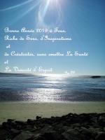 voeux 2019