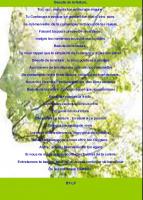 Beauté de la nature