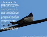 Hirondelle