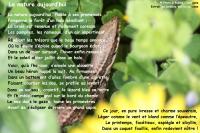 La nature aujourd'hui