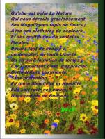 Quelle est belle la nature