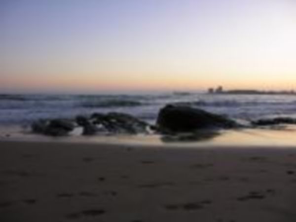 Bonne fête ma mer !!!