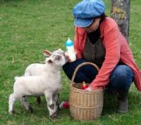 Pique-nique printanier