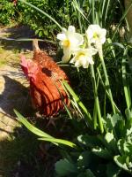 Ôte-toi de mon soleil !