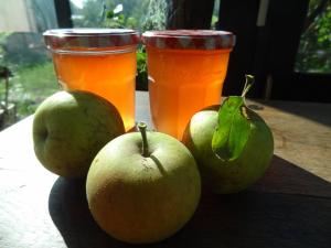 Entre les pommes et leur gelée il n'y a qu'un pot