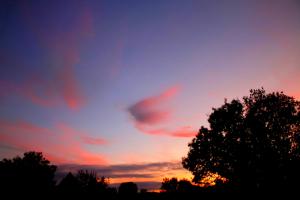 Psychés angéliques