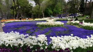 Gülhane Park