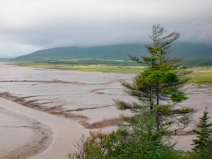 La mer n'a rien laissé 