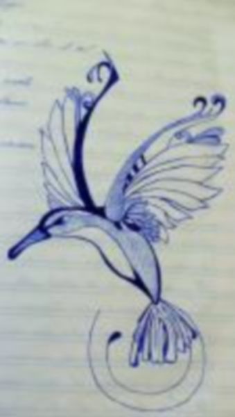 Colibri