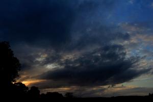 Crépuscule sauvage