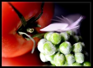 Composition 2