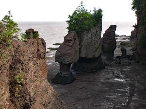 Titans de marée basse