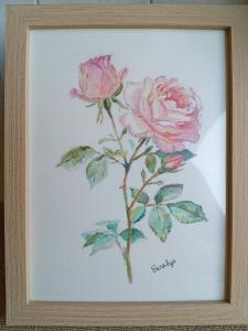 Premières roses