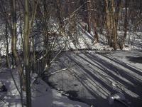 La Mare au Diable en hiver