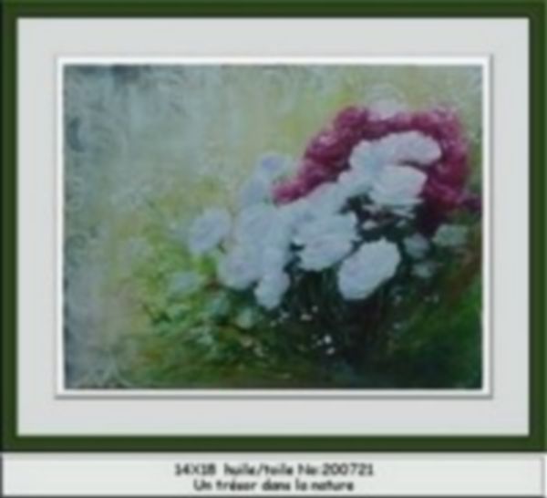 Un trésor dans la nature