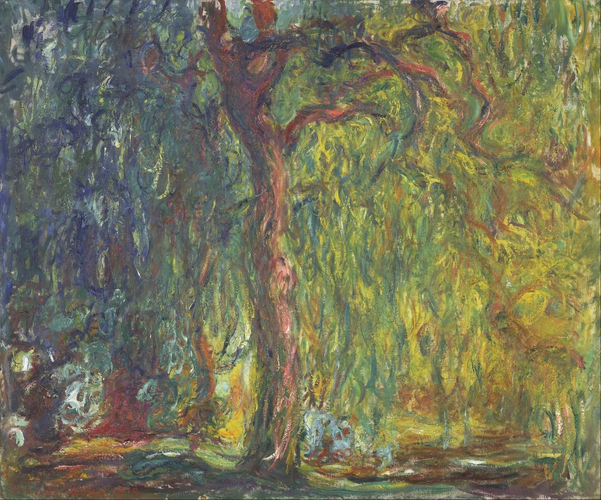 Saule pleureur
