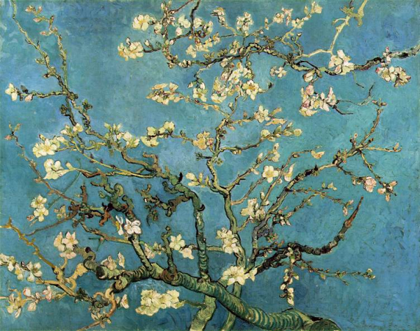 Branche d'amandier en fleurs