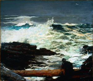 Driftwood