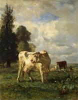 Cow in the field