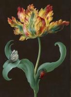 Tulipe avec Papillon et Coléoptère
