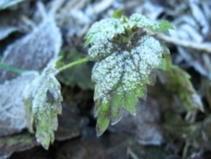 Illustration pour le poème