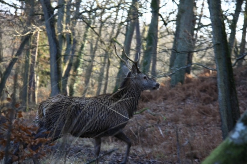 Illustration pour le poème