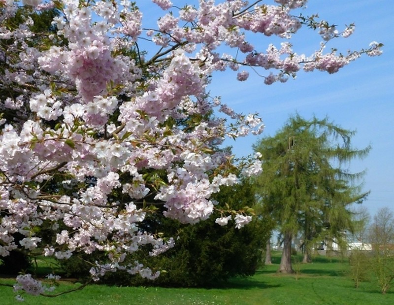 Illustration pour le poème