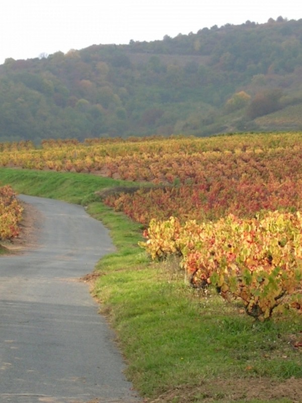 Illustration pour le poème