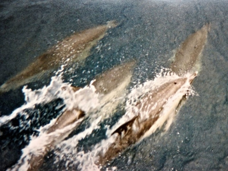 Illustration pour le poème