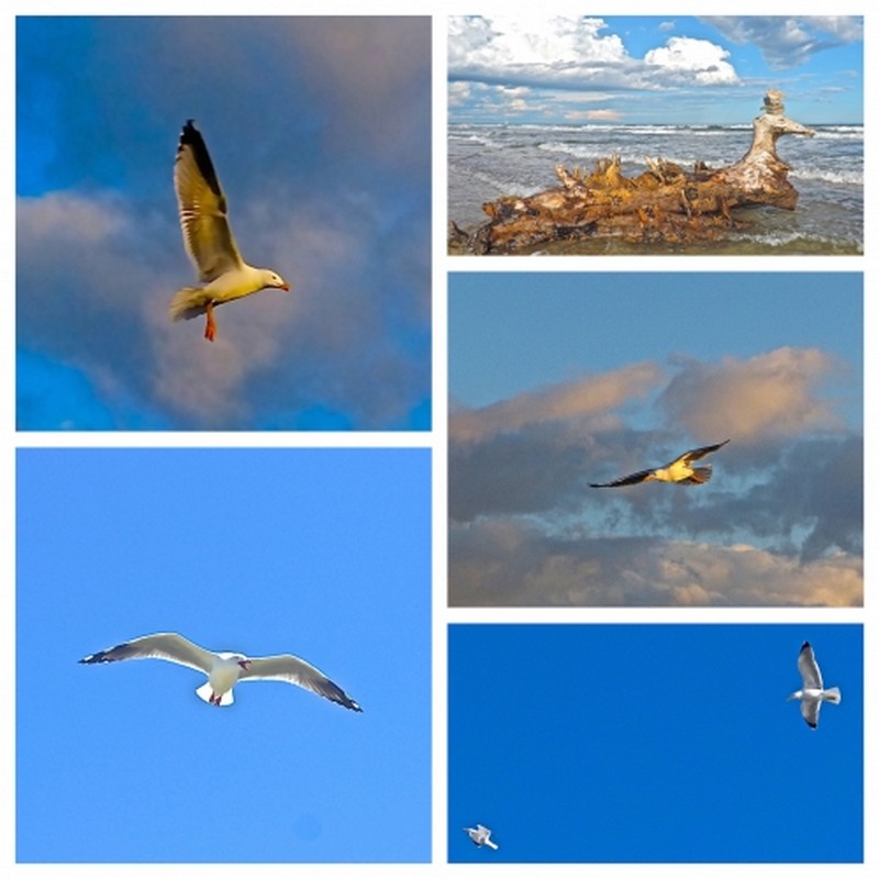 Illustration pour le poème