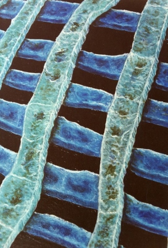 Illustration pour le poème