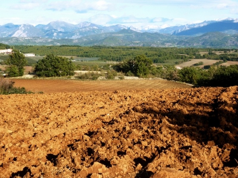 Illustration pour le poème