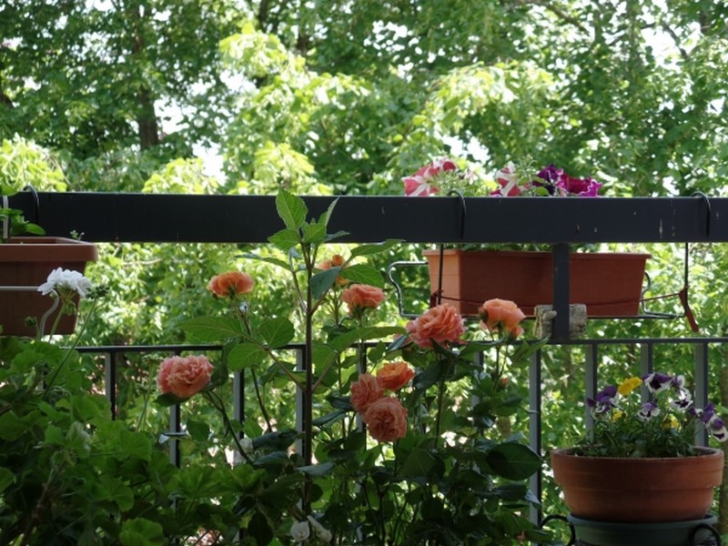 Illustration pour le poème