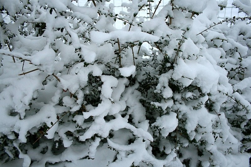 Illustration pour le poème