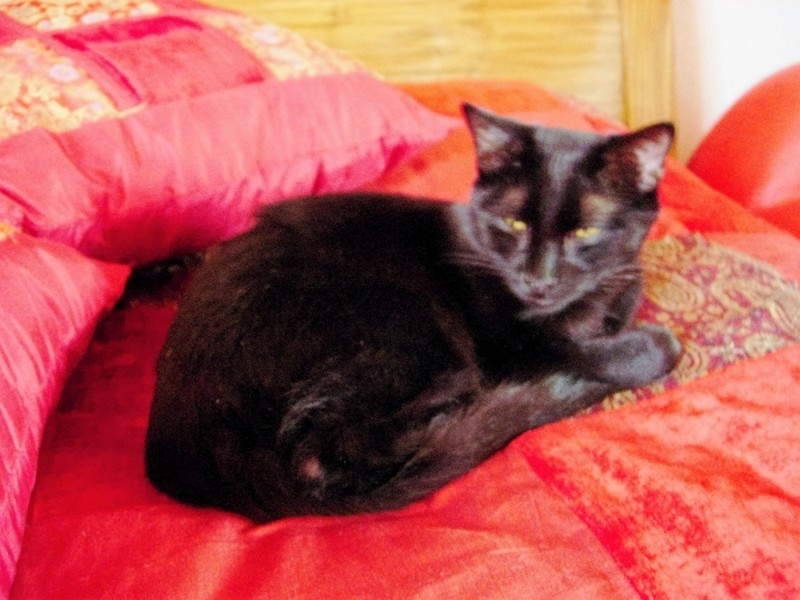 Illustration pour le poème