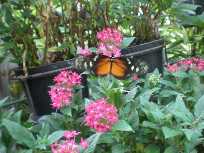 Illustration pour le poème