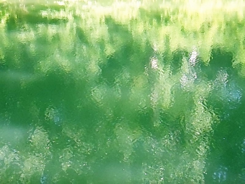 Illustration pour le poème