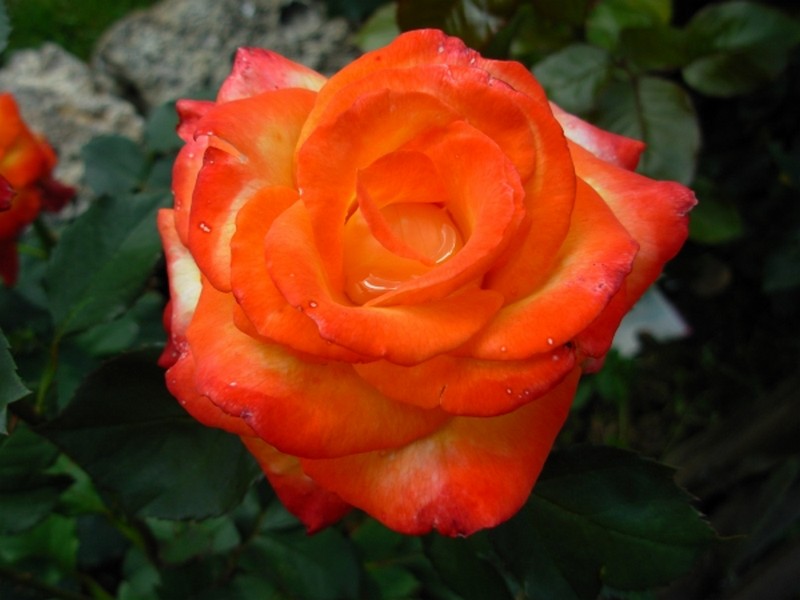 Illustration pour le poème