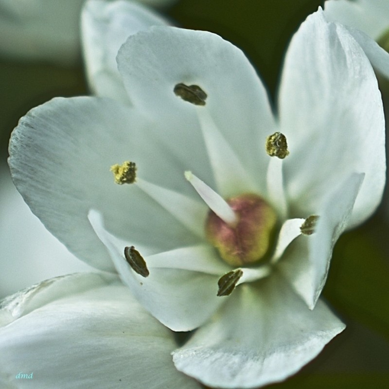 Illustration pour le poème