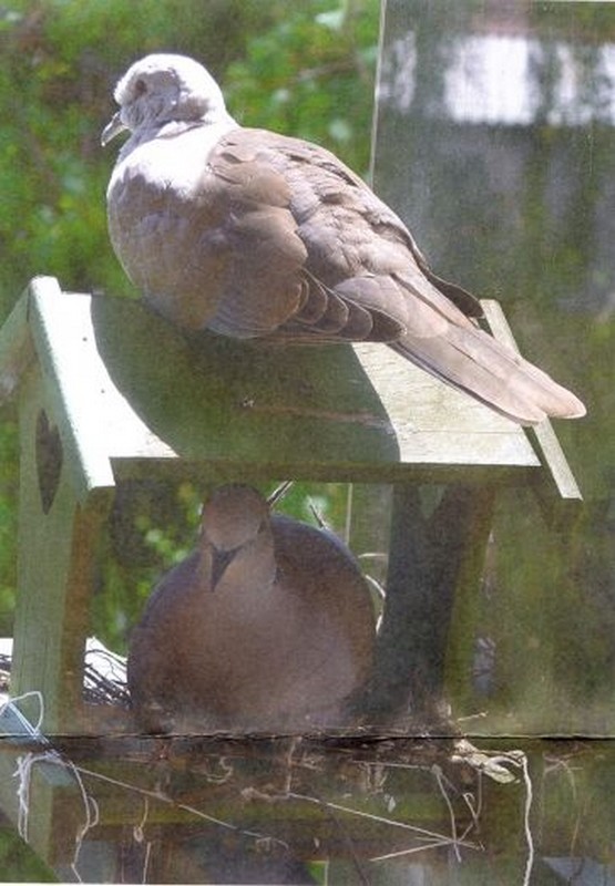 Illustration pour le poème